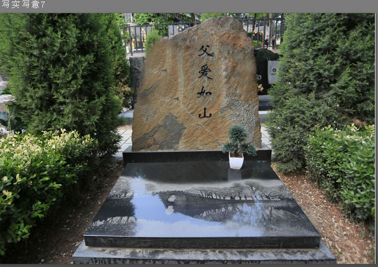 寫實(shí)寫意7