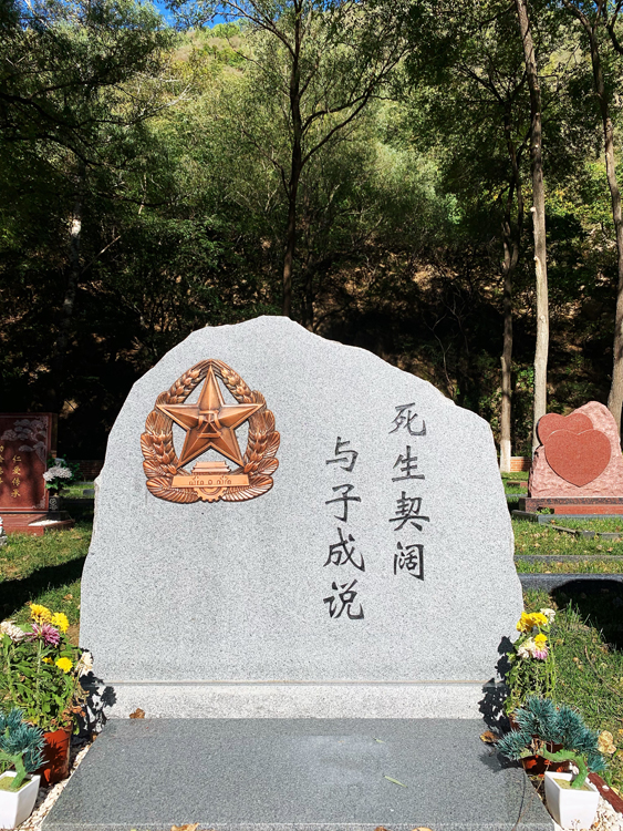寫實(shí)寫意8